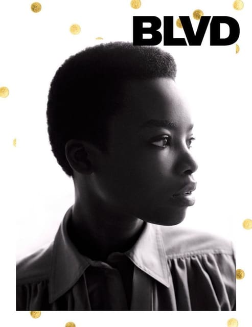BLVD Fall 2016 Cover — BLVD Magazine