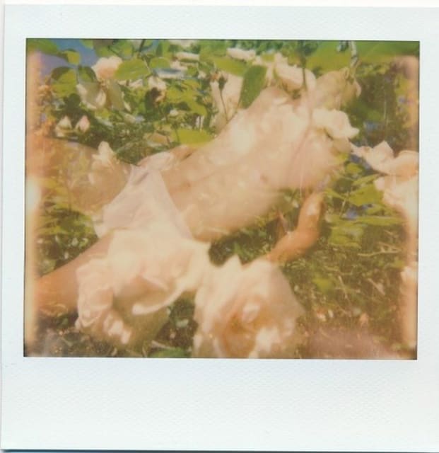 Jeremy Kost