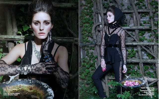 American Rose — Schön Magazine