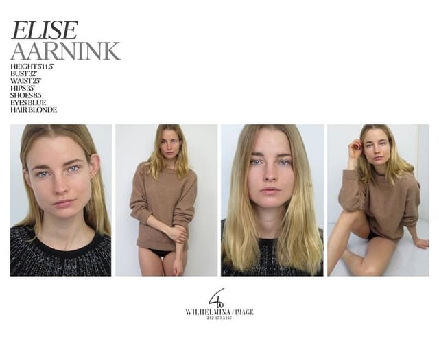 Elise Aarnink — 2