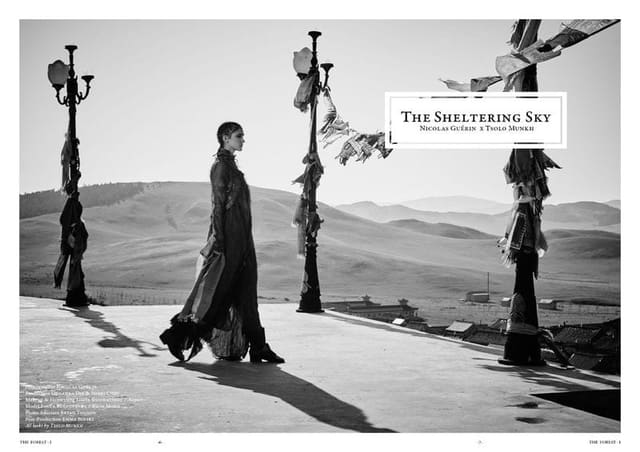 The Sheltering Sky for The Forest Magazi...
