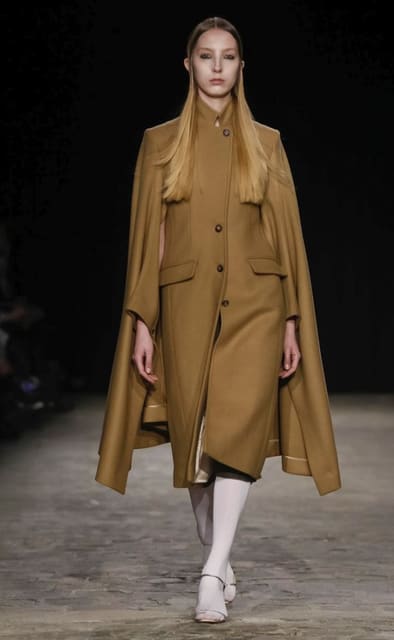 Véronique Branquinho F/W 17 Show — Veronique Branquinho