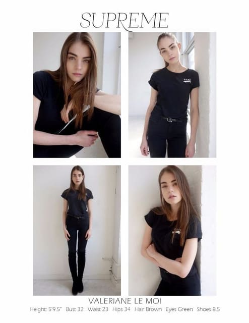 Supreme Management S/S 17 Polaroids/Port...