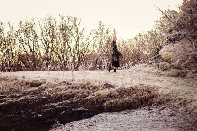 Norwegian Wood — MONROWE Magazine Online