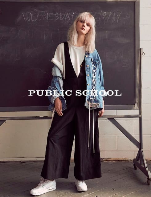 Spring 2017 — Public School