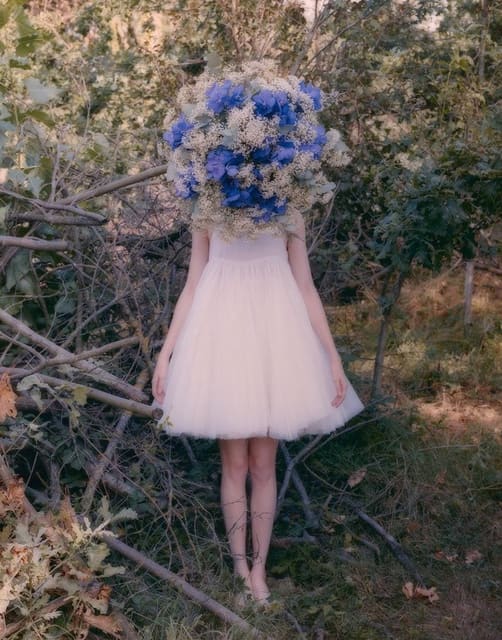 Ever Magazine - Flowerheads