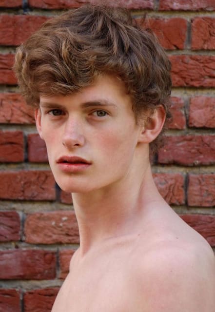 Robin van der Veen