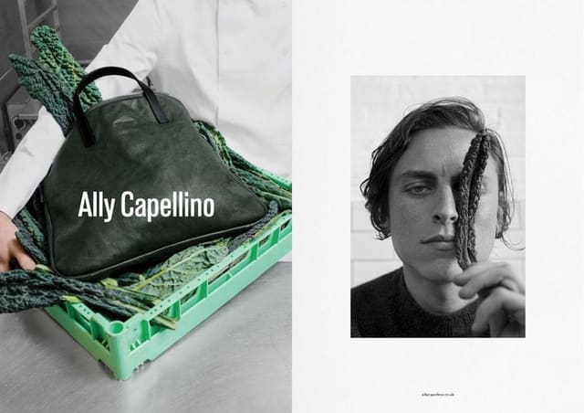Ally Capellino AW17 — Ally Capellino