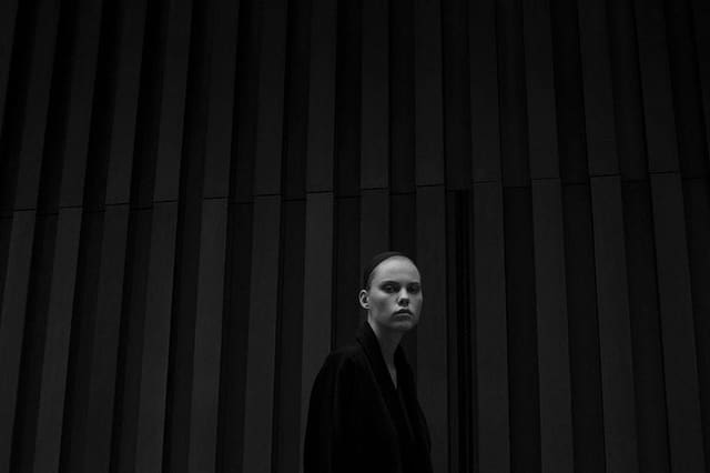 Grey Matter for Aserica