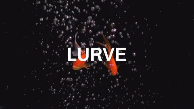 Two Of A Kind — Lurve Magazine