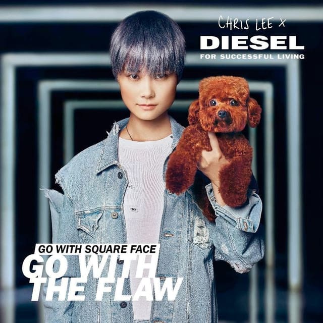 Diesel For Chris Lee - Go with the Flaw — Diesel