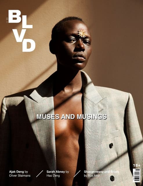 BLVD Magazine Fall 2017 Covers — BLVD Magazine