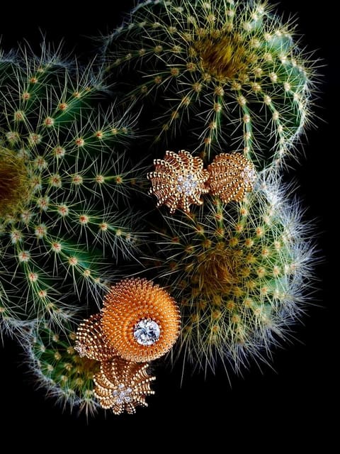 THE CARNIVOROUS STONES — Narcisse Magazine