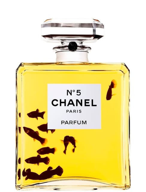 A TROPICAL DIVE — Narcisse Magazine
