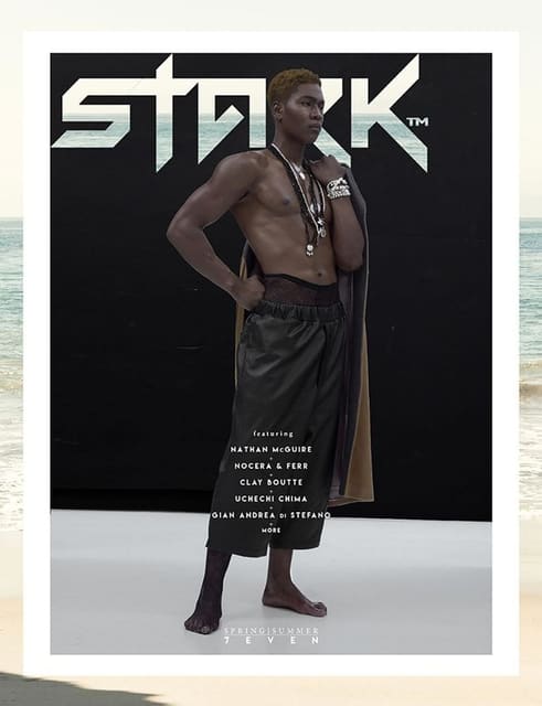 Stark Magazine Spring 2017 Cover — Stark Magazine