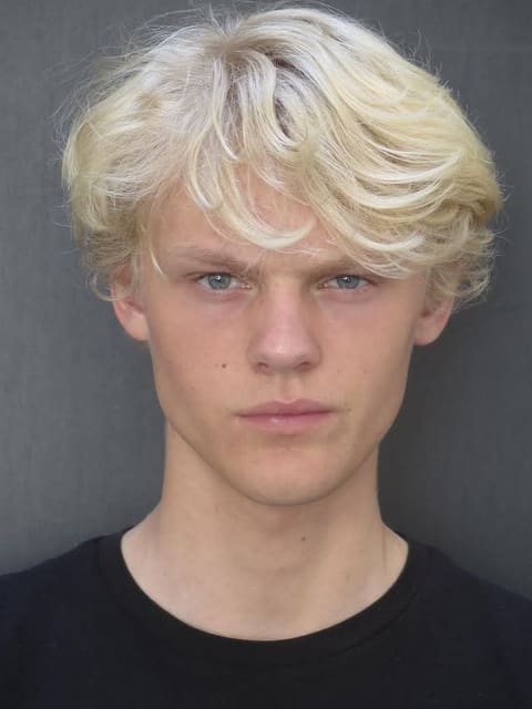 Finn van der Meulen