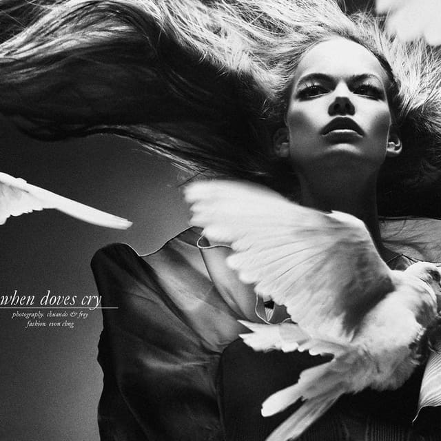 When Doves Cry — Schön Magazine