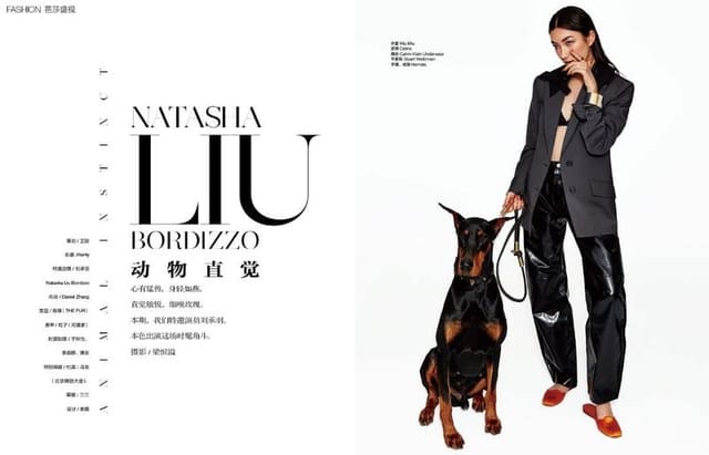 Animal Instinct — Harper's Bazaar China