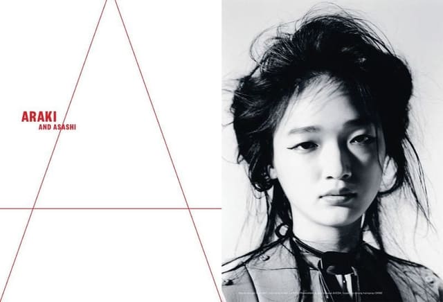 Araki and Asashi — Beauty Papers