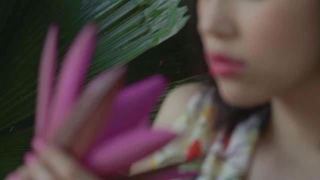Vivienne Tam MY GARDEN Campaign S/S 12 — Vivienne Tam