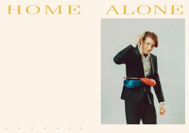Home Alone — Hello Mr.