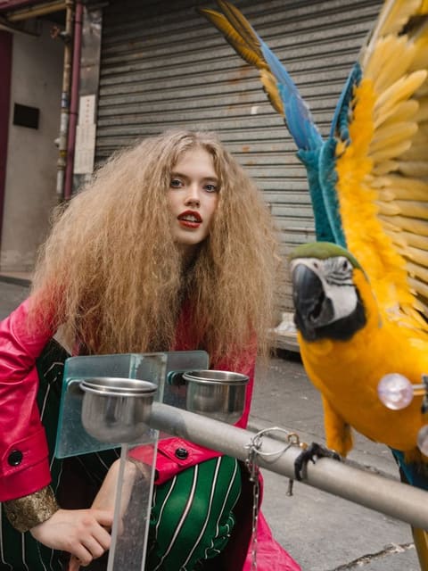Vita Filonenko — 5