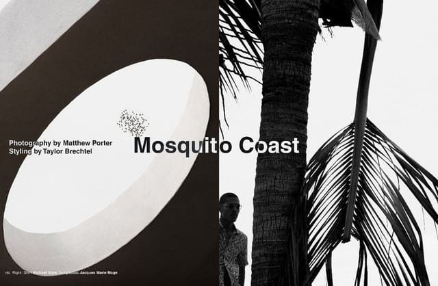 Mosquito Coast — At Large Magazine