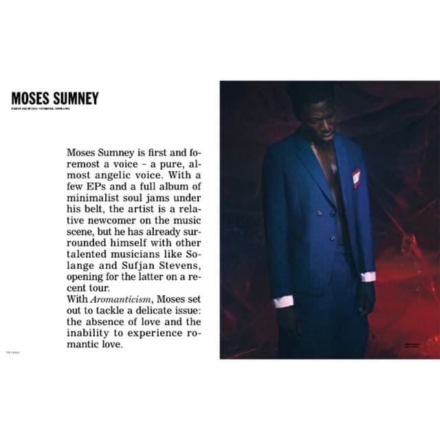 Moses Sumney — Crash.fr