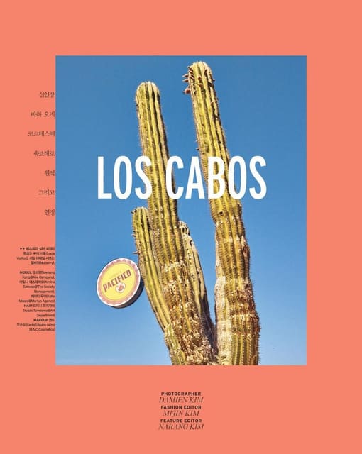 LOS CABOS — Vogue Korea