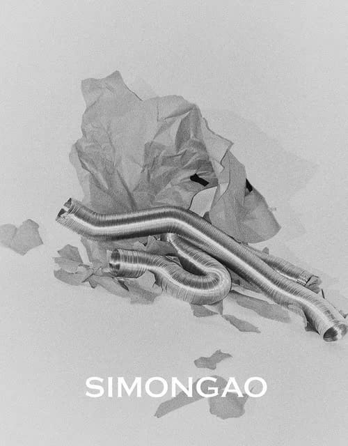 SIMONGAO Spring 2017 — Trademark