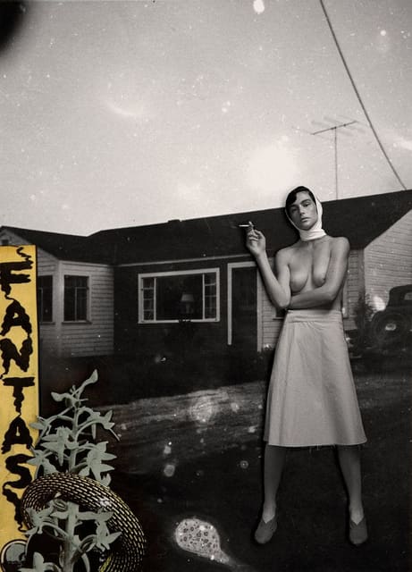 Plague — King Kong Magazine