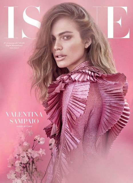 Issue (South America) Fall 2017 Cover — Issue South America