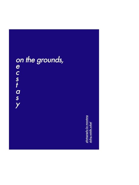 On The Grounds, Ecstacy — Nicotine Magazine