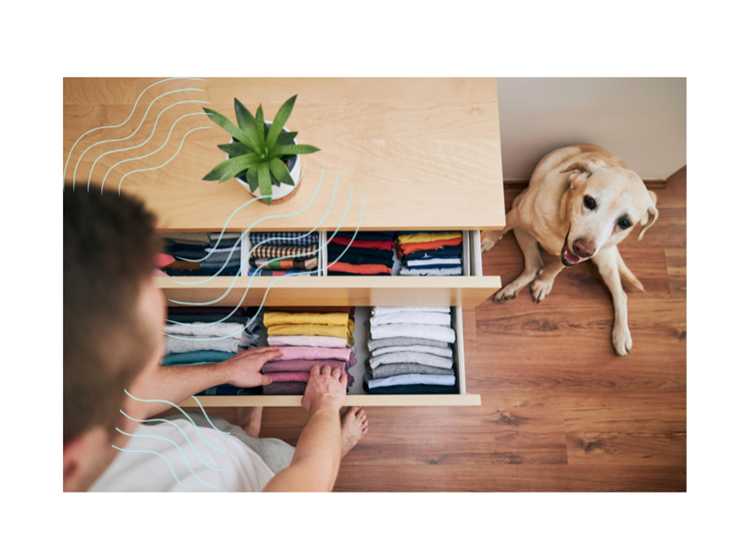 25 Top Decluttering Influencers for Paper Organization in 2025 - Quick View