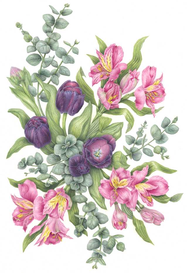 Profiles of the Year’s Leading Plant Illustrators and Their Signature Works