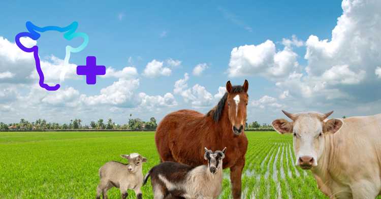 Top 25 Livestock Influencers in 2025: Leading Voices in Animal Agriculture