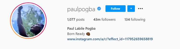 Assess Leadership Styles: Influence Tactics, Mentorship, and Accountability